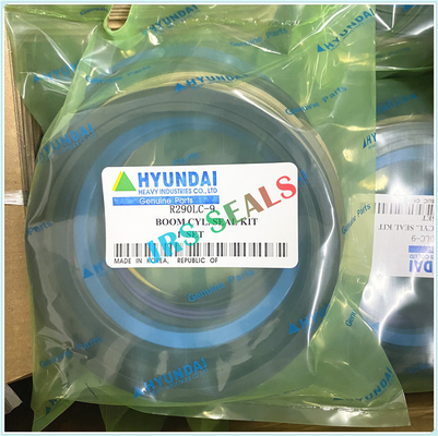 R290 R320 7 9 Hidrolik Yağ Dükkanı Kits ARM BOOM BUCKET Hidrolik Silindir Dükkan Kits HYUN.DAI