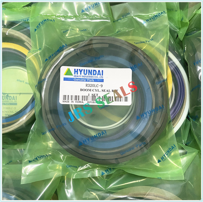 R290 R320 7 9 Hidrolik Yağ Dükkanı Kits ARM BOOM BUCKET Hidrolik Silindir Dükkan Kits HYUN.DAI