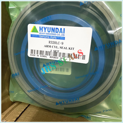 R290 R320 7 9 Hidrolik Yağ Dükkanı Kits ARM BOOM BUCKET Hidrolik Silindir Dükkan Kits HYUN.DAI